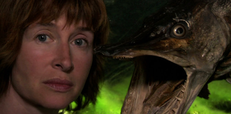Brochet… comme le poisson — image du film