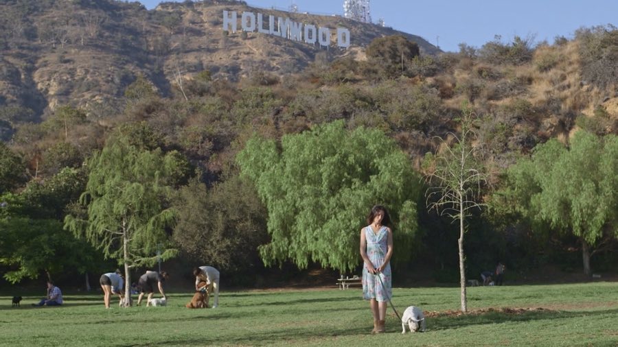 Rêve de mouette — image du film